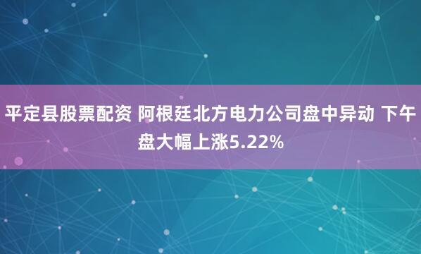平定县股票配资 阿根廷北方电力公司盘中异动 下午盘大幅上涨5.22%