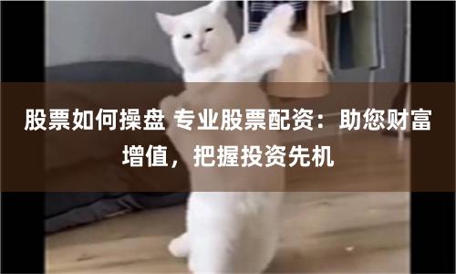 股票如何操盘 专业股票配资：助您财富增值，把握投资先机